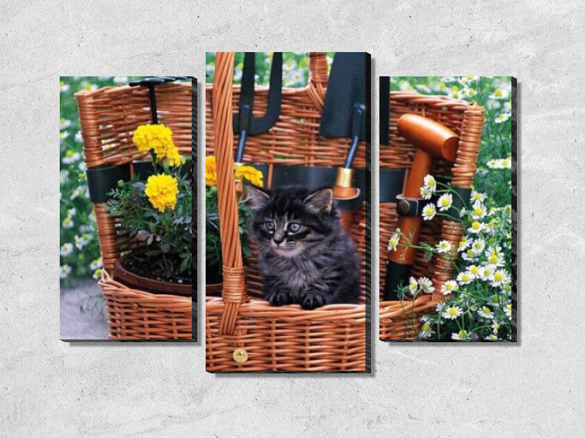 Котенок в корзине