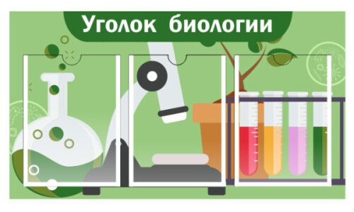 Уголок биологии на 3 кармана А4
