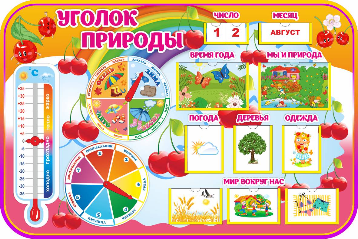 Уголок природы с карточками Вишенки