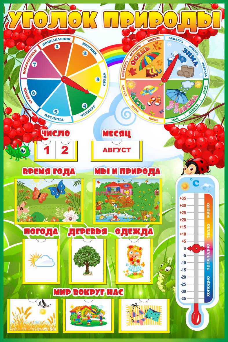 Уголок природы вертикальный Рябинки