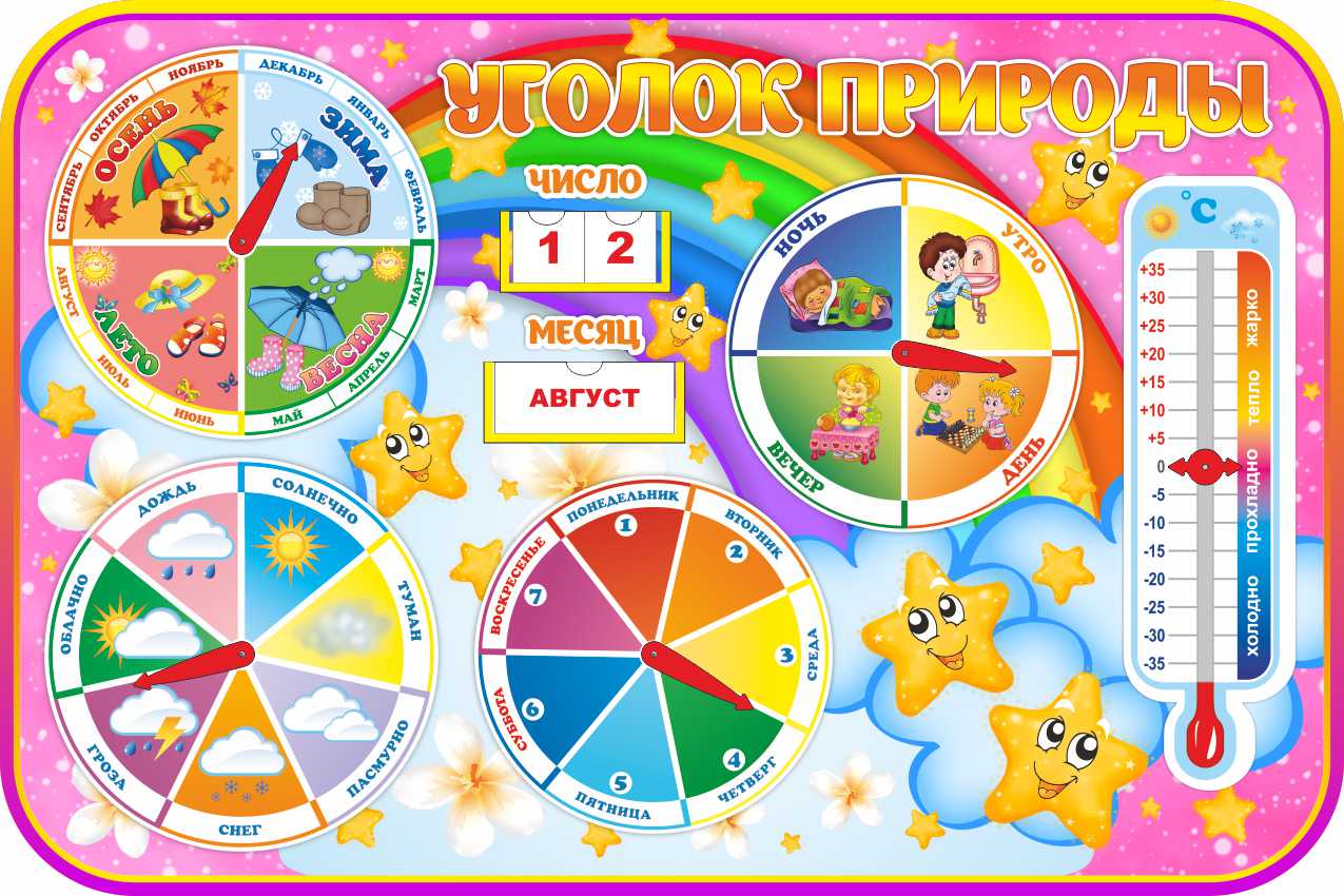 Уголок природы Звездочки