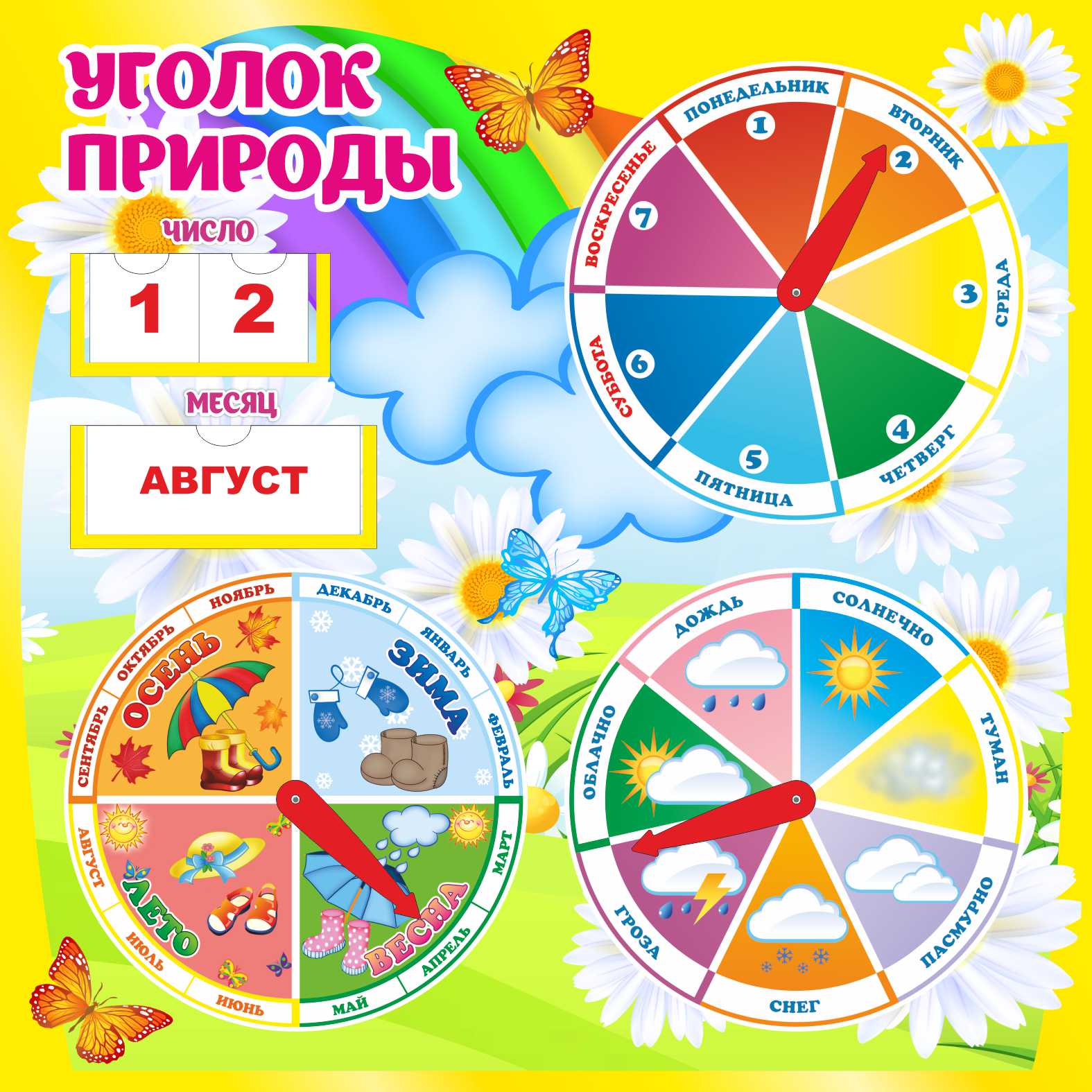 Уголок природы Ромашки