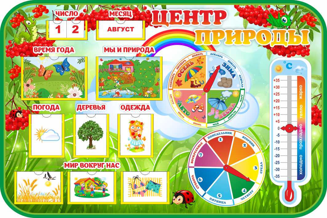 Уголок природы с карточками Рябинки