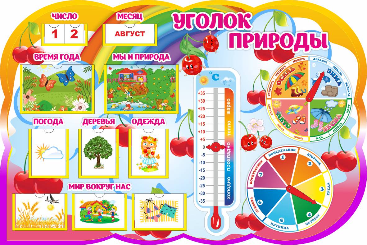 Уголок природы с карточками Вишенки