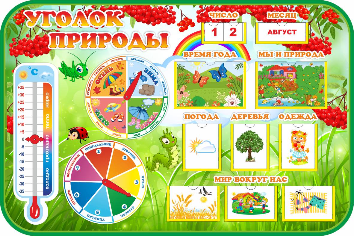 Уголок природы с карточками Рябинки