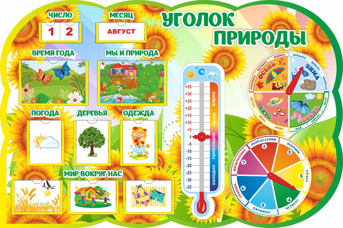 Фигурный Уголок природы Подсолнухи