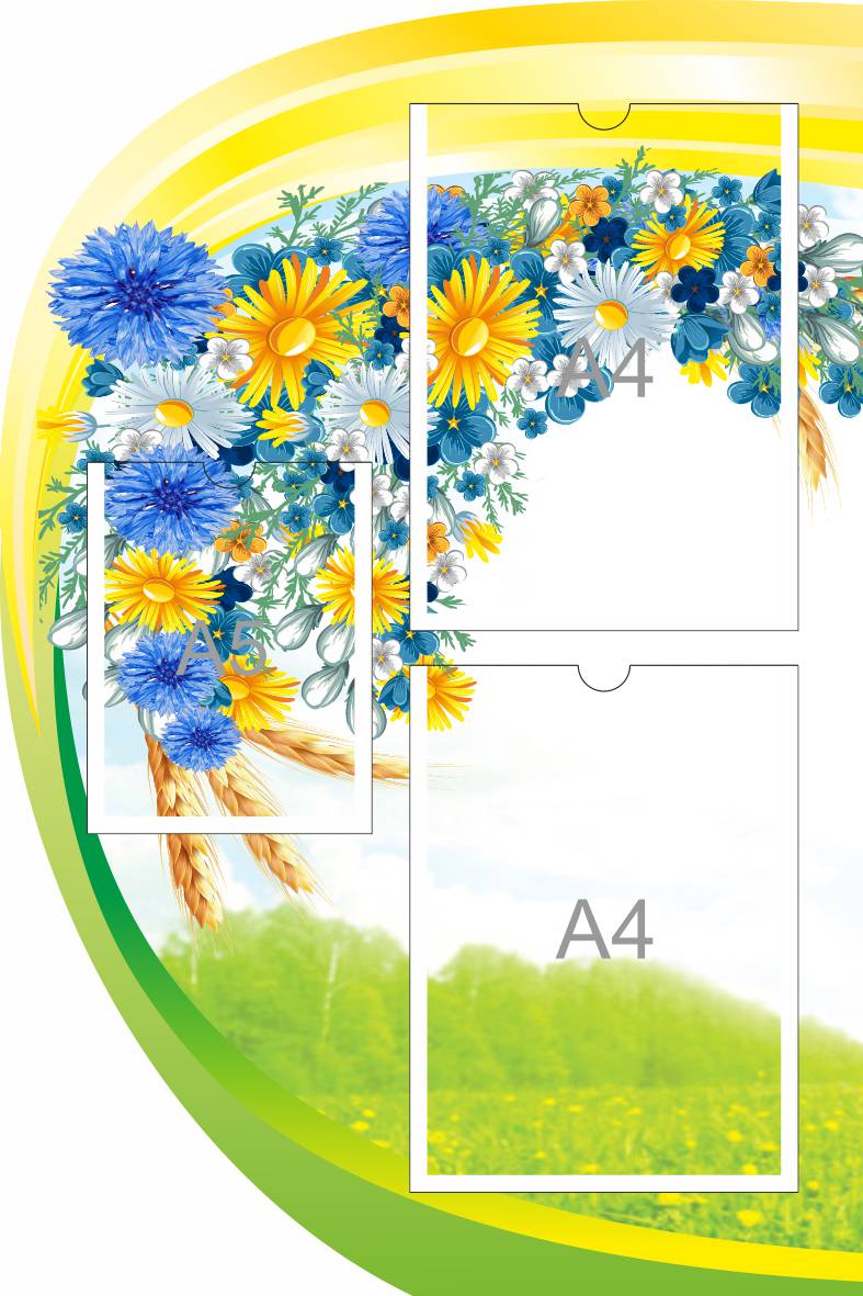 Стенд на 2 А4 Васильки