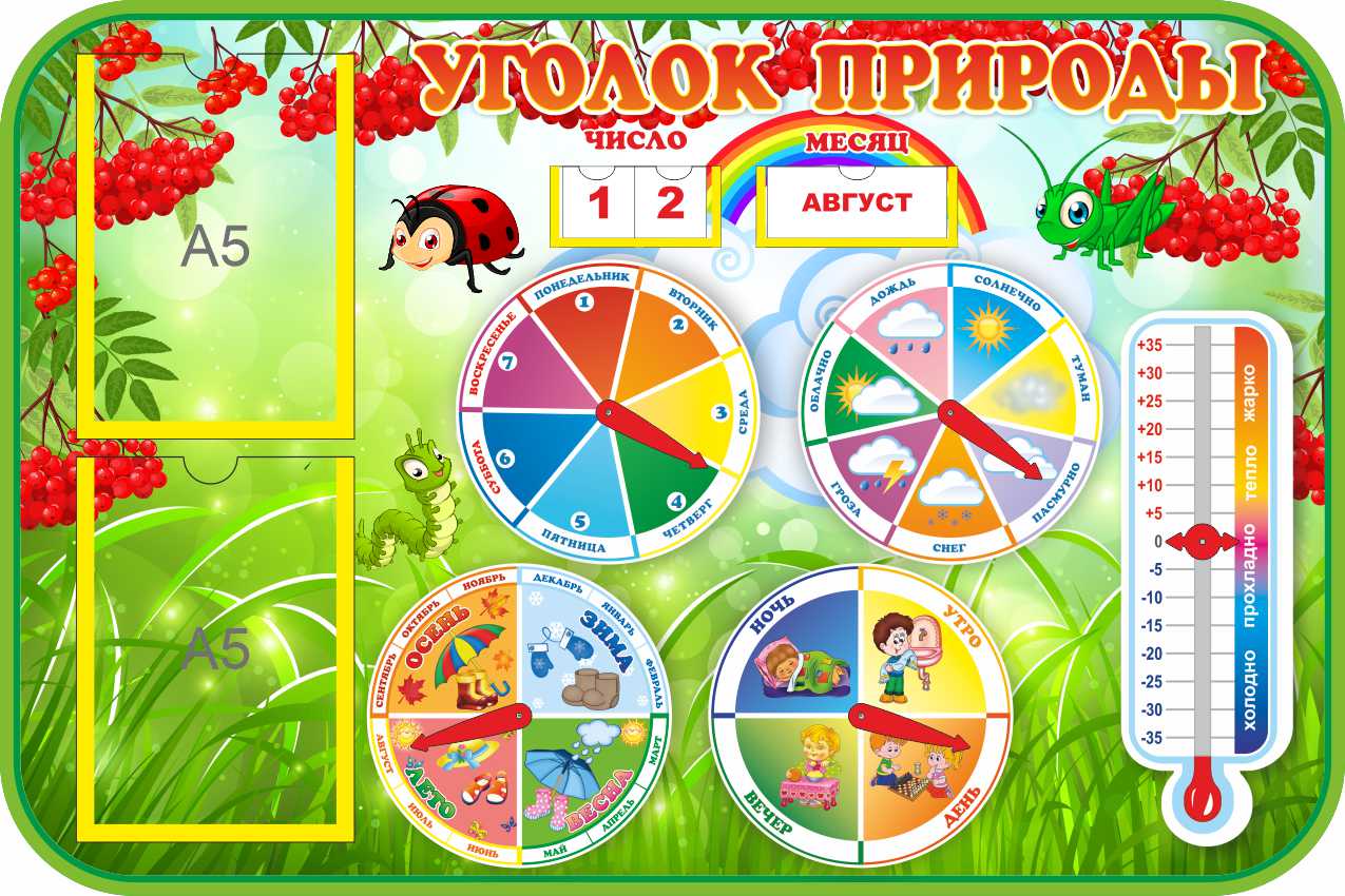 Уголок природы Рябинки